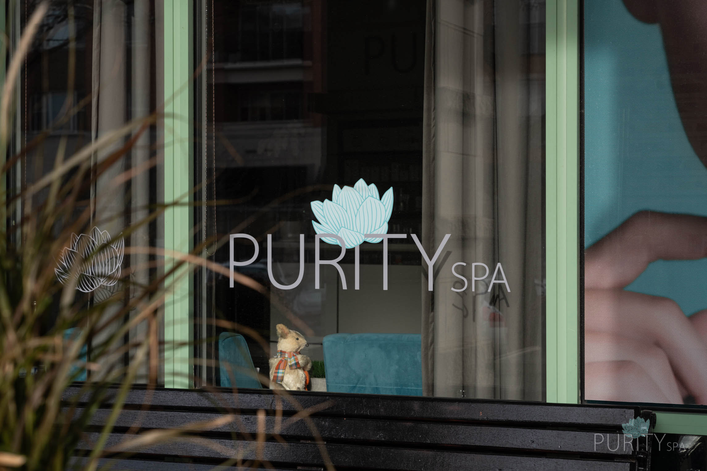 PURITY SPA - WILLOW SPRINGS, IL
